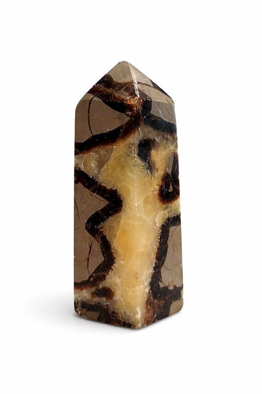 Septarija (bokštelis) | vidinis stuburas ir žemės