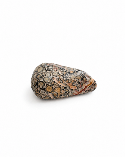 Leopardinis jaspis (būgninukas) | Ramybė, stabilumas, savęs pažinimas