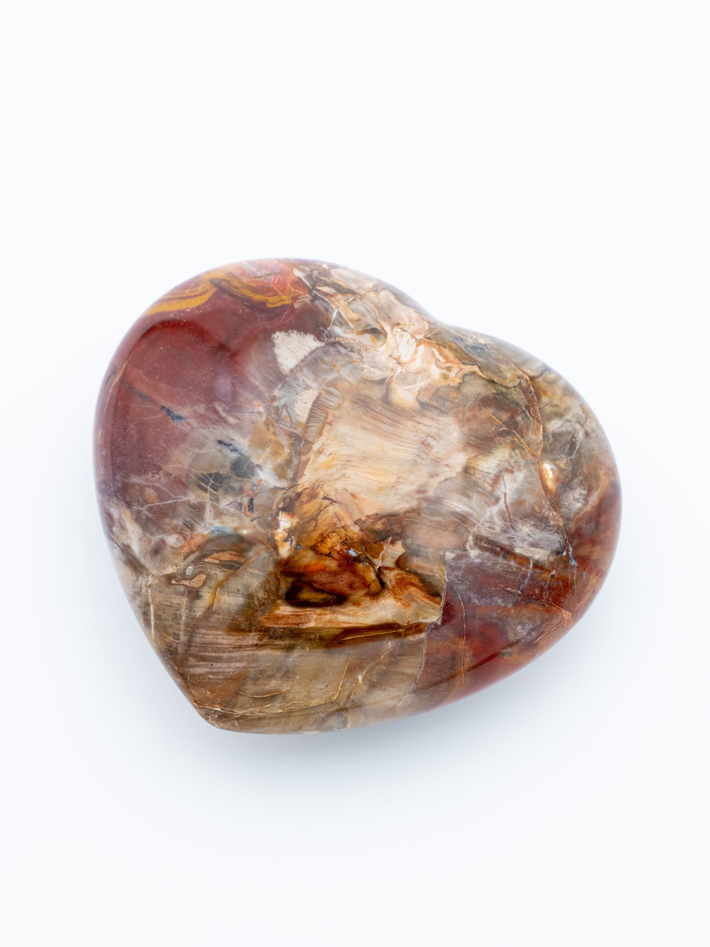 Suakmenėjęs medis (širdelė) | laiko atminties ir gyvybės tęstinumo akmuo