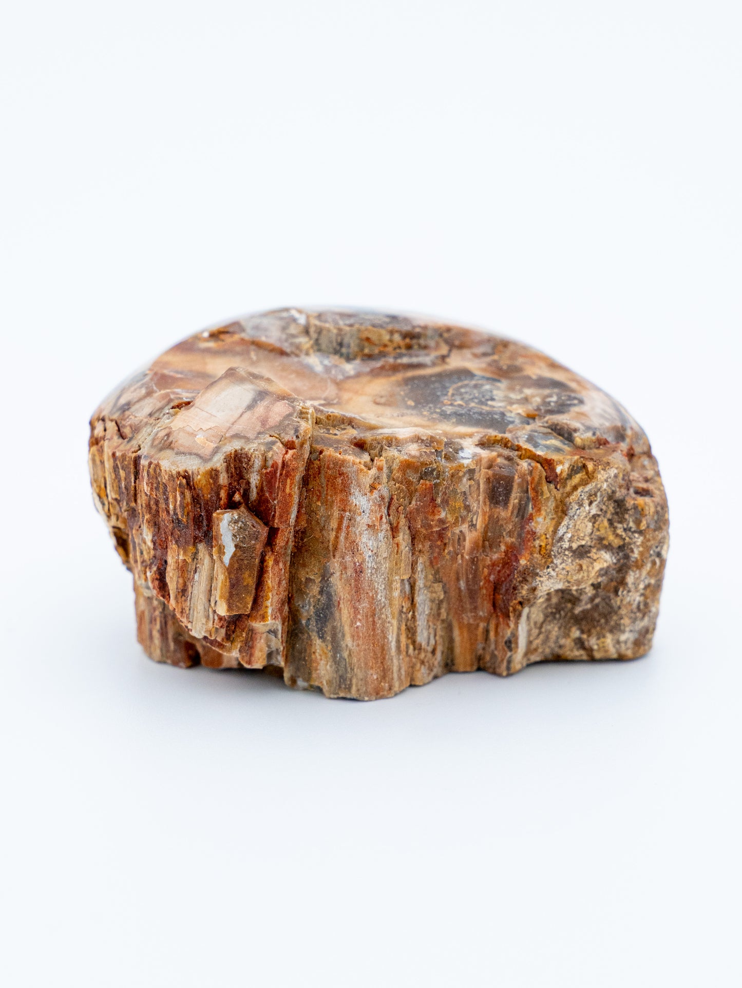 Suakmenėjęs medis (raw / uoliena) | gilus stabilumas, ištvermė, įsižeminimas