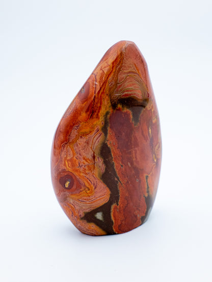 Mokaitas | žemiška išmintis, gyvybingumas, vidinė kryptis