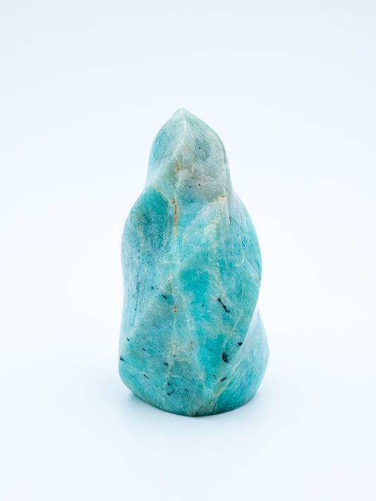 Amazonito liepsnelė | drąsa kalbėti, bendravimas, išraiška