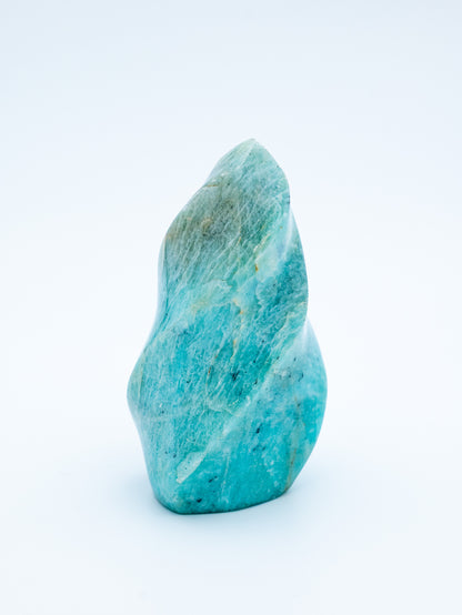 Amazonito liepsnelė | drąsa kalbėti, bendravimas, išraiška