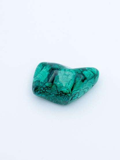 Malachitas (būgninukas) | transformacija, apsauga ir žemiška meilė